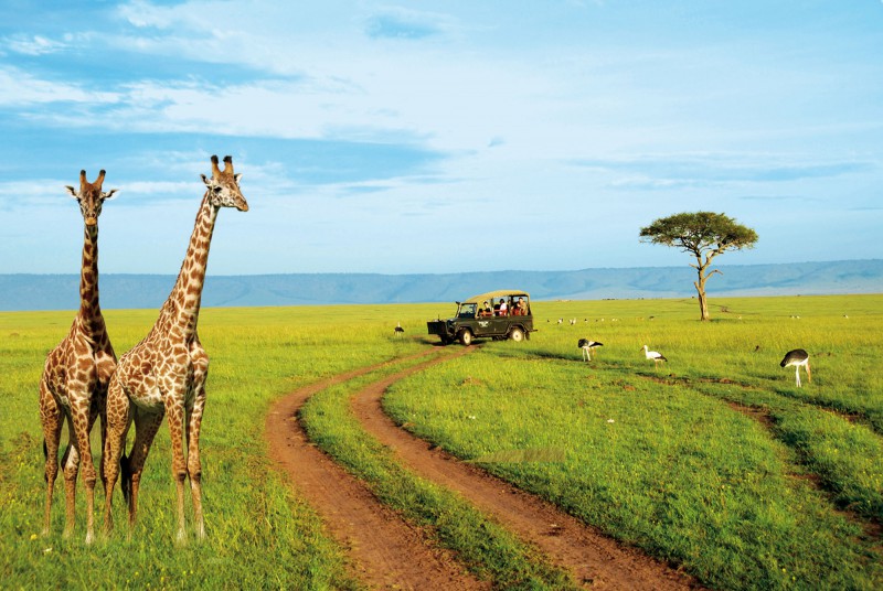 kenya-safari