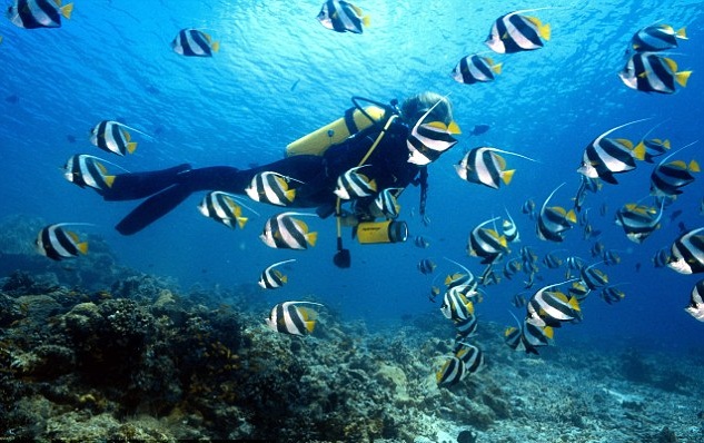 scuba-diving-maldives