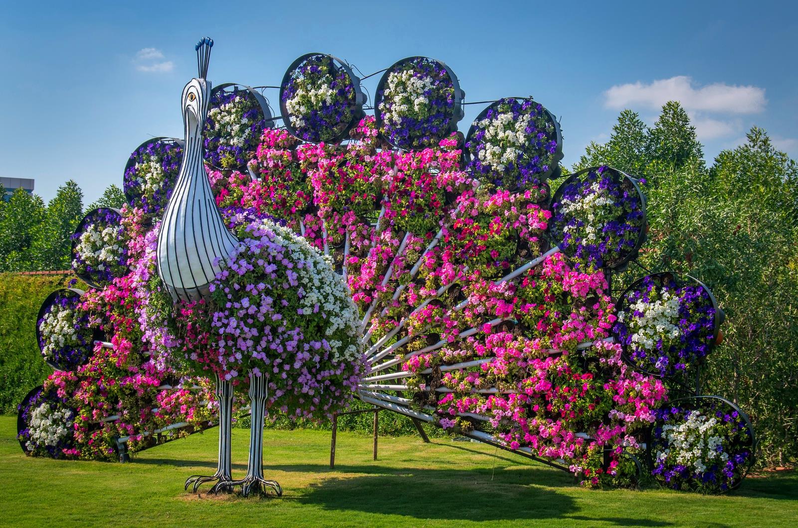 Парк цветов Dubai Miracle Garden