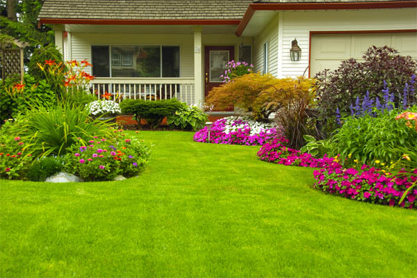 4.-front-yard-flowers