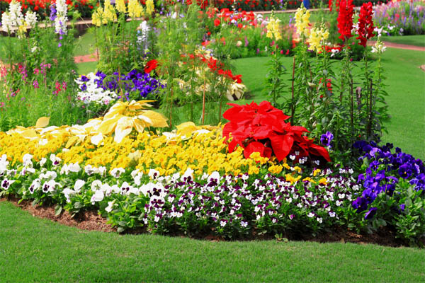 5.-colorful-flower-bed
