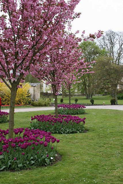 18 Genius Flower Beds Around Trees You Need To See - The ART in LIFE