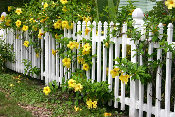 garden-fence1