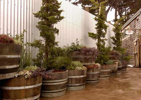 wine-barrel-planters