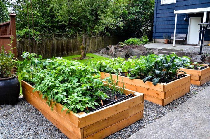 gorgeous-small-vegetable-garden-plans-ideas-718x476