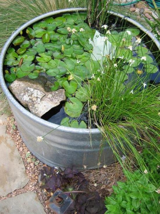 mini-bassin-seau-metal-plantes-herbe-nenuphares