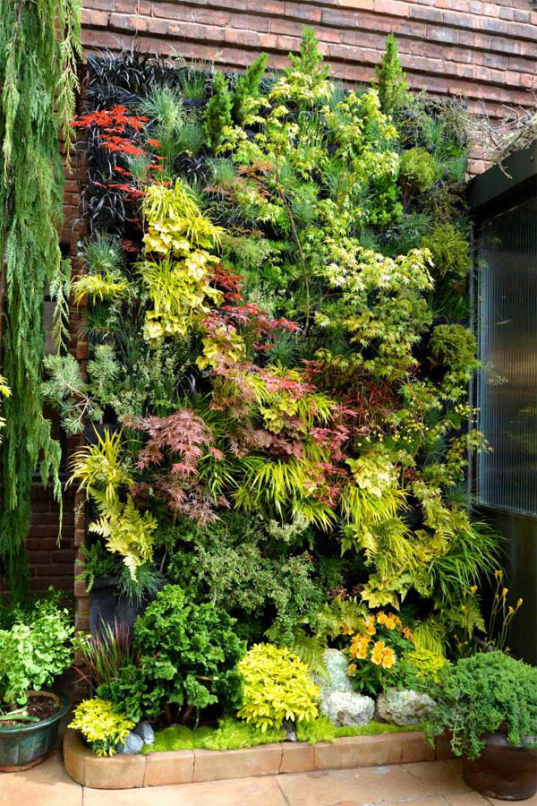 04-create-a-living-wall-of-leaves-garden-homebnc