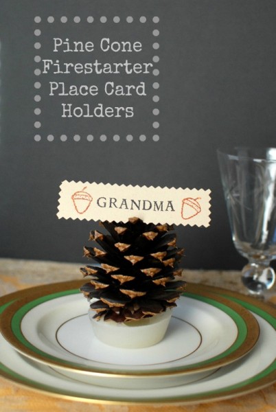 diy-pinecone-place-card-fire-starter