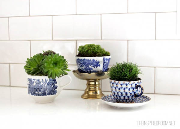 plants-in-teacups-The ART In LIFE