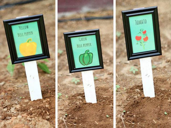 vegetable-garden-markers-using-picture-frames-crafts-gardening-organizing