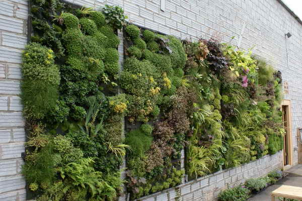 1720-vertical-gardening-ideas-with-brick-walls