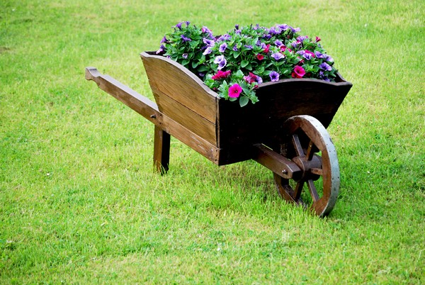 Wheelbarrow Planter