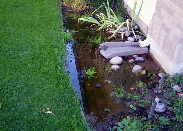 10 Amazing Ideas - Dry Creek Beds for Landscaping - The 
