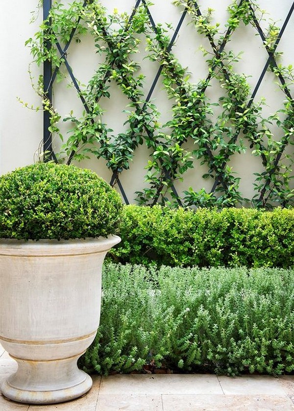 15 Creative And Easy DIY Trellis Ideas For Your Garden - The ART in LIFE