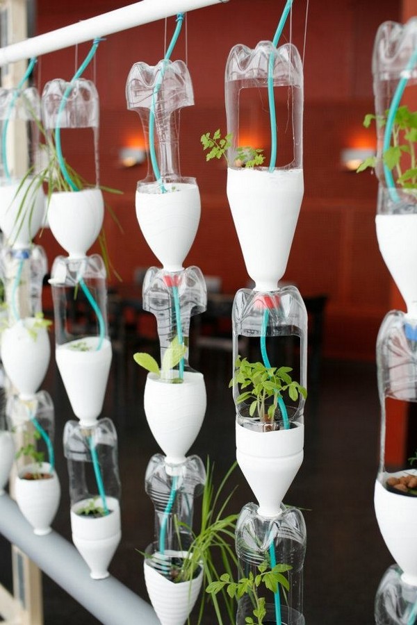 17 Genius DIY Recycled Plastic Bottle Gardens You Need to See - The ART