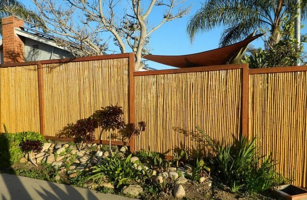 Bamboo Fences