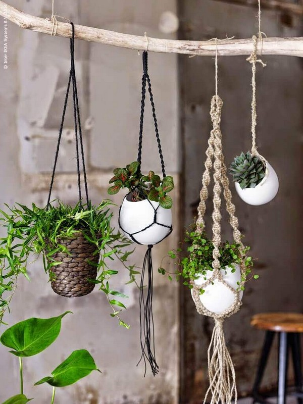 Hanging planter