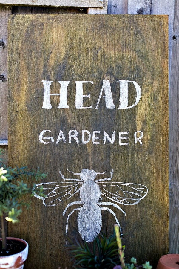 Super Funny Garden Sign Ideas to Spread Cheer Outdoors ...
