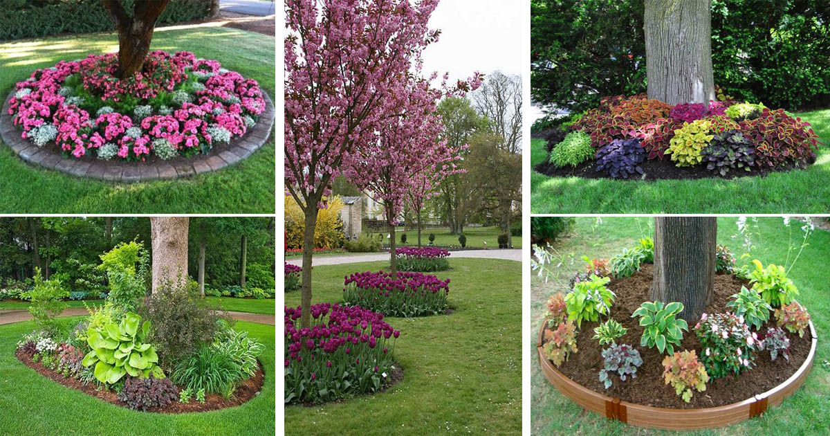 18 Genius Flower Beds Around Trees You, Can You Put A Raised Bed Around Tree