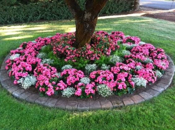 18 Genius Flower Beds Around Trees You, Can You Put A Raised Bed Around Tree