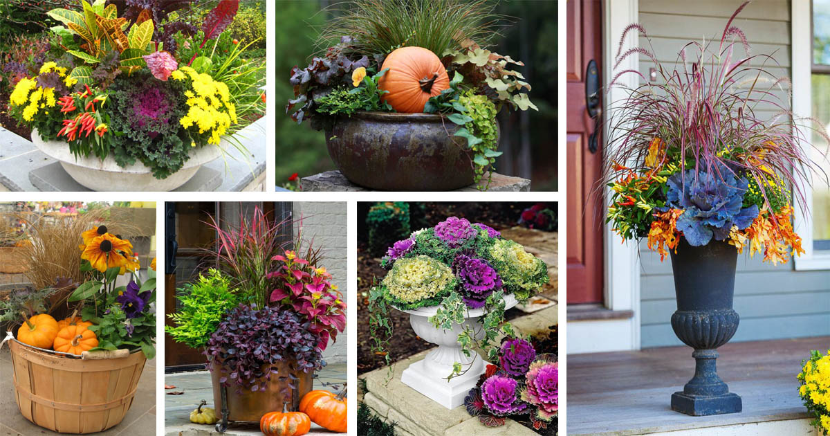 20 Blow-Minding Fall Container Backyard Ideas - The ART in LIFE