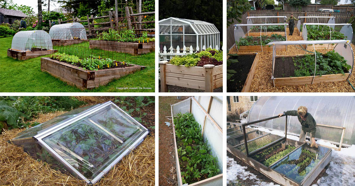 Top 10 Winter Vegetable Garden The Art In Life 