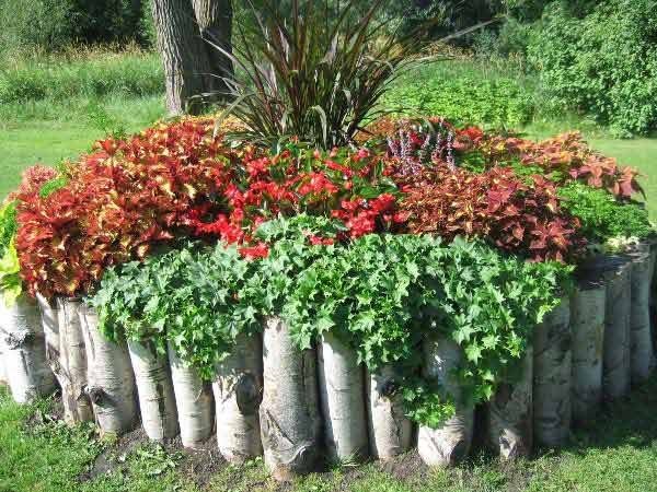 17 Fascinating Wooden Garden Edging Ideas You Must See - The ART in LIFE