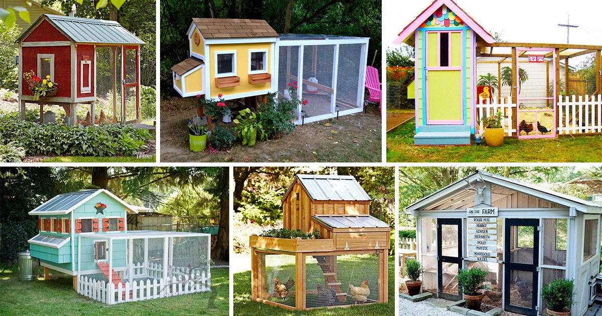 18 Amazing DIY Chicken Coops Designs That Are Seriously Over The Top