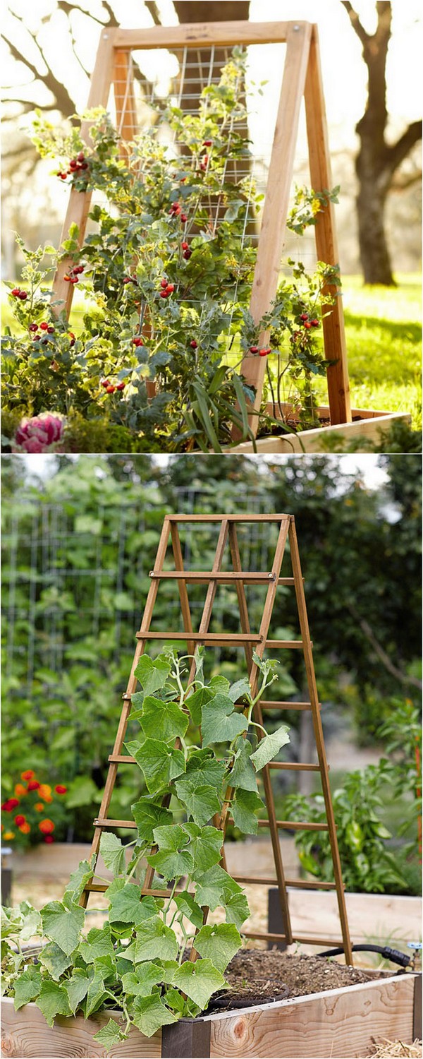15 Creative And Easy DIY Trellis Ideas For Your Garden 50976 | Hot Sex ...